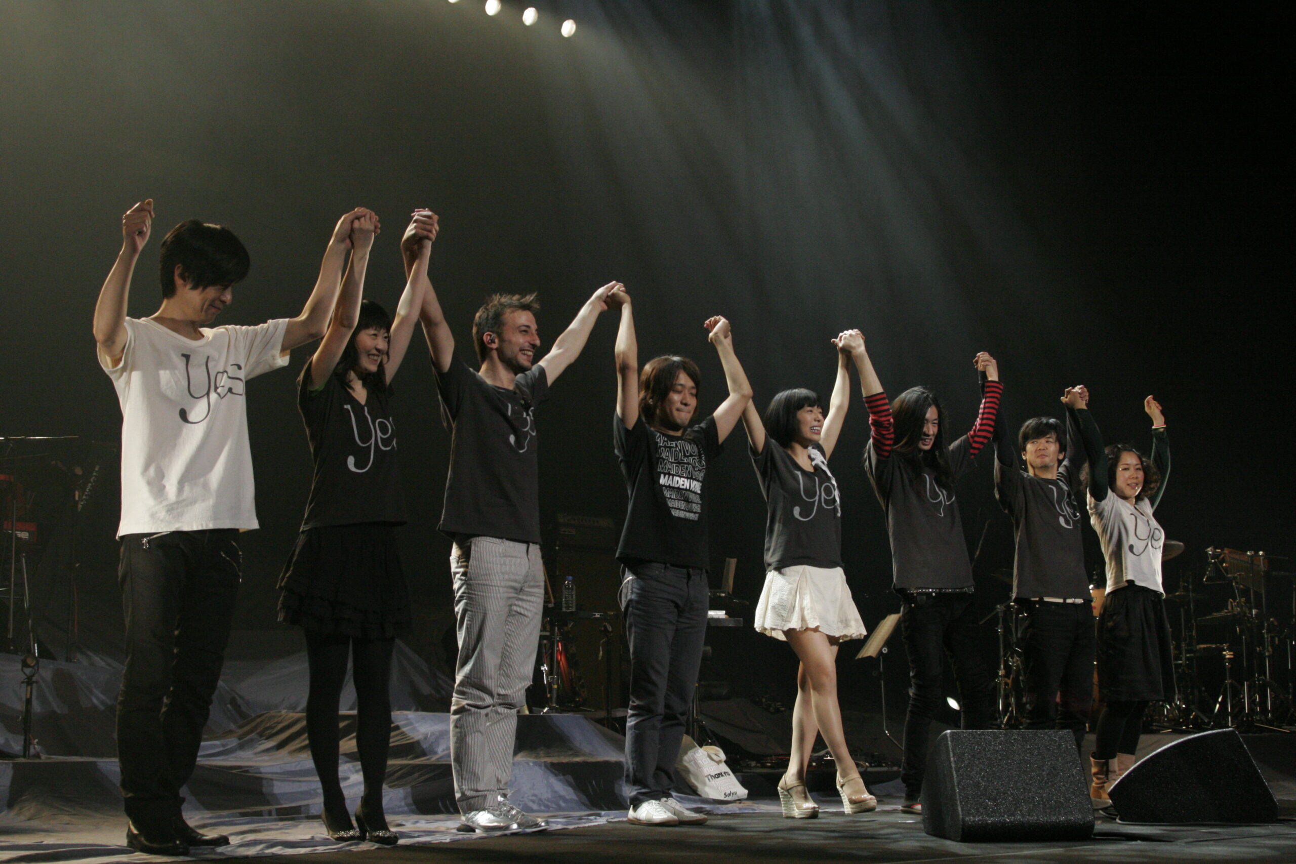 Artist - Salyu Tour